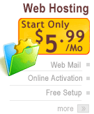 WEB HOSTING